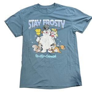 Frosty The SnowMan Graphic Blue/Grey T-Shirt Big Boys | Size Medium